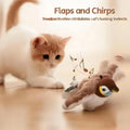 Chirpy Bird Playmate
