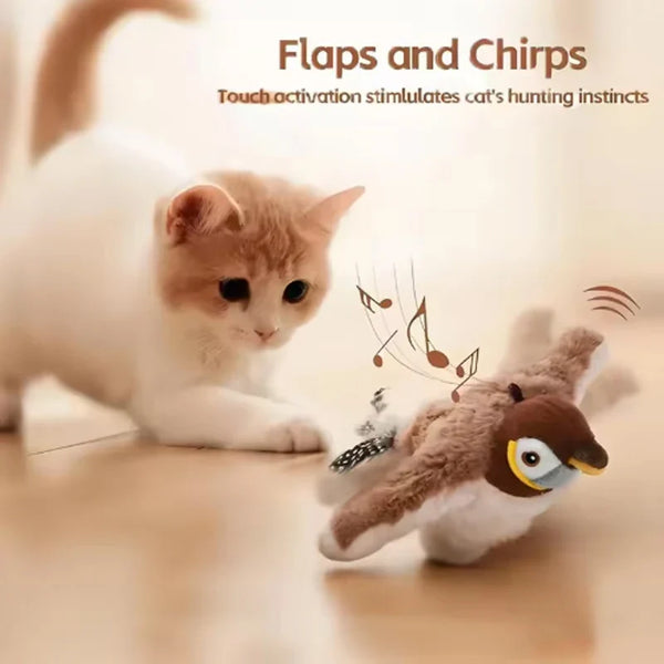 Product placeholder