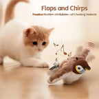 Chirpy Bird Playmate